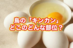 鶏のキンカンとはどこの部位？食べ方や栄養について徹底解説！