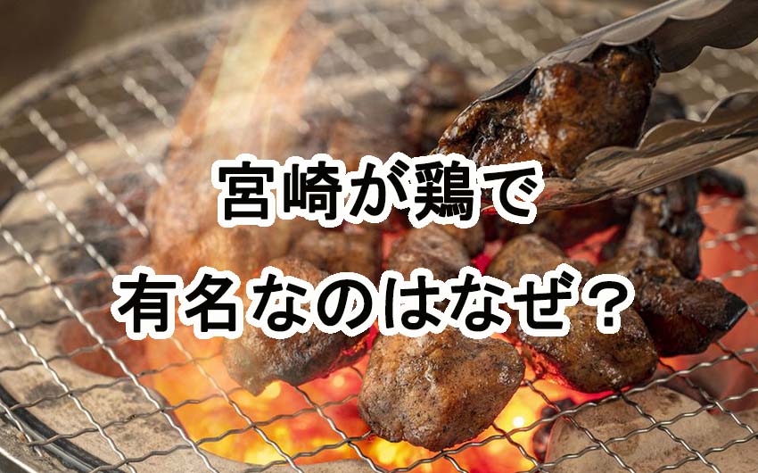 宮崎で鶏が有名なのはなぜ？ブランド地鶏についても！