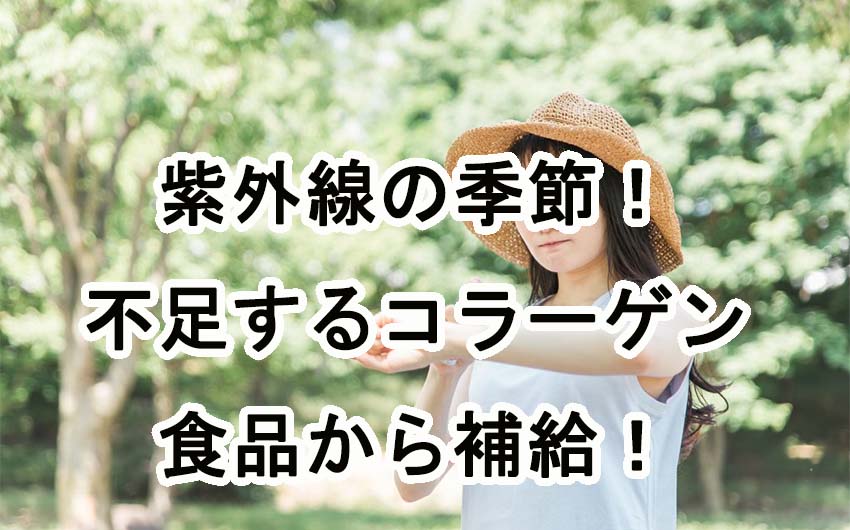 紫外線の季節！食品からいつもよりも多めにコラーゲン補給