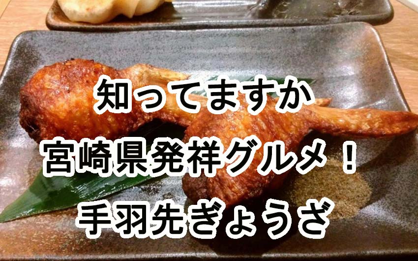 餃子消費量が全国有数の宮崎県発祥！手羽先餃子