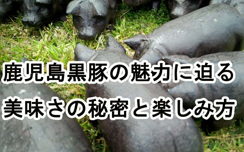 鹿児島黒豚の魅力に迫る：美味しさの秘密と楽しみ方