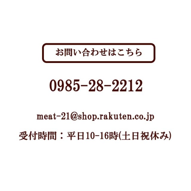 業務用 屋台 仕入 模擬店 イベント 祭り 肉巻きおにぎり棒