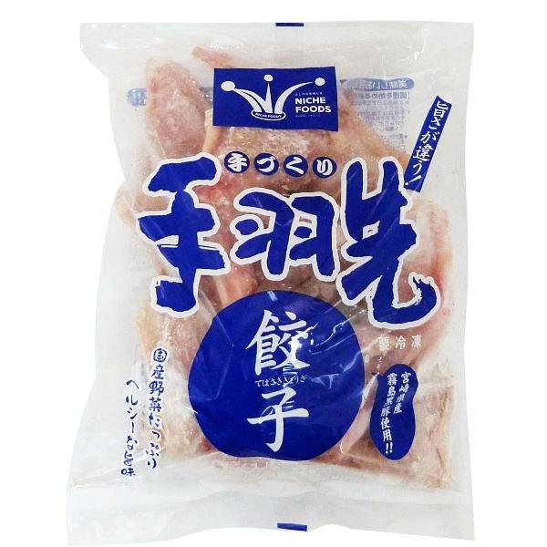手羽先餃子(手羽餃子/てばぎょうざ/手羽先ギョウザ)
